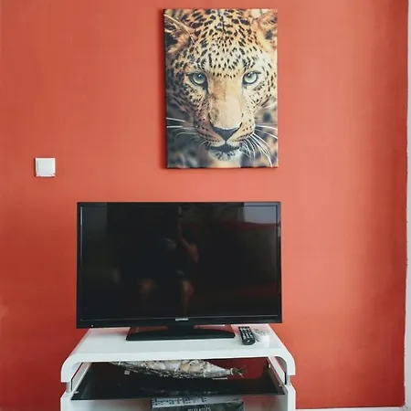 Appartement Red Zebra Apartments
